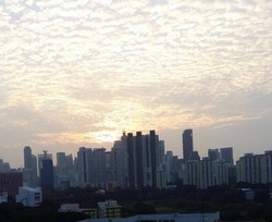 Blk 113 Bukit Purmei Road (Bukit Merah), HDB 4 Rooms #200888782